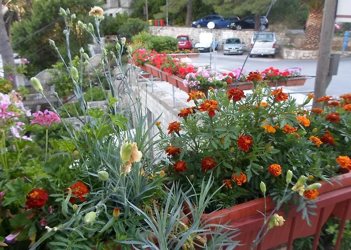 בית הארחה Guesthouse Sobra Sobra