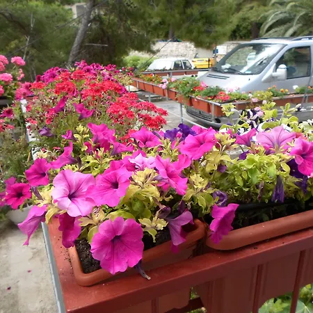 Guesthouse Sobra Sobra