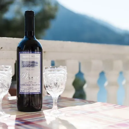 Guesthouse Sobra 招待所