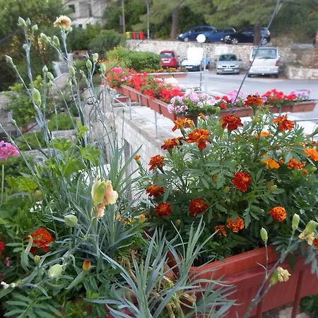 Guest house Guesthouse Sobra Sobra