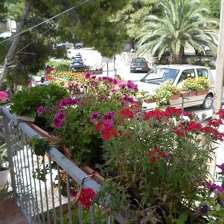 Guesthouse Sobra بيت ضيافة