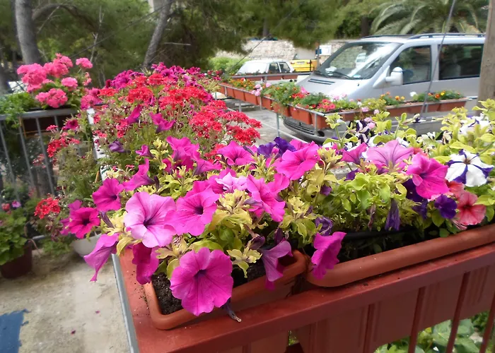 Guesthouse Sobra Собра